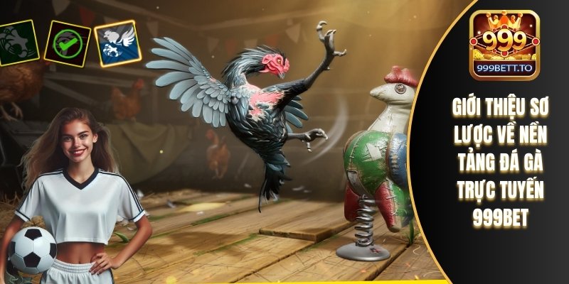 Giới thiệu sơ lược về nền tảng đá gà trực tuyến 999bet
